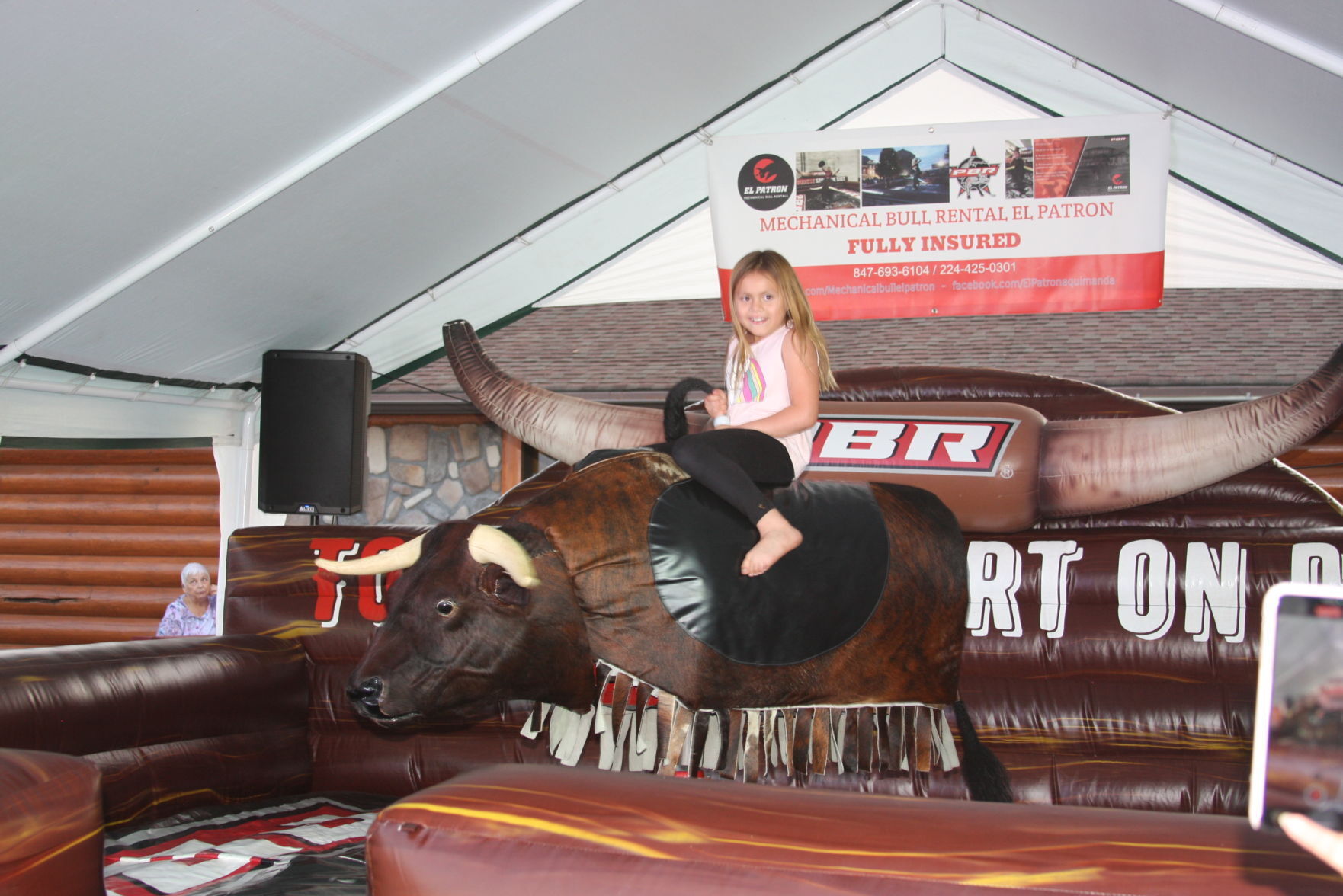 The bull
